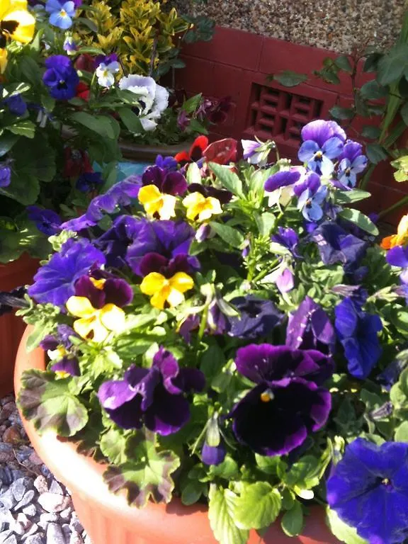 Bed & Breakfast Almond House B&B Edinburgh
