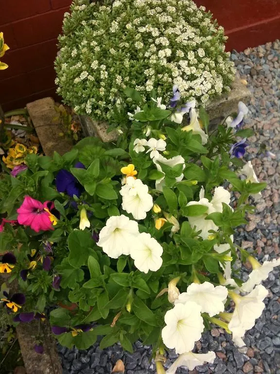 Almond House B&B Edinburgh United Kingdom