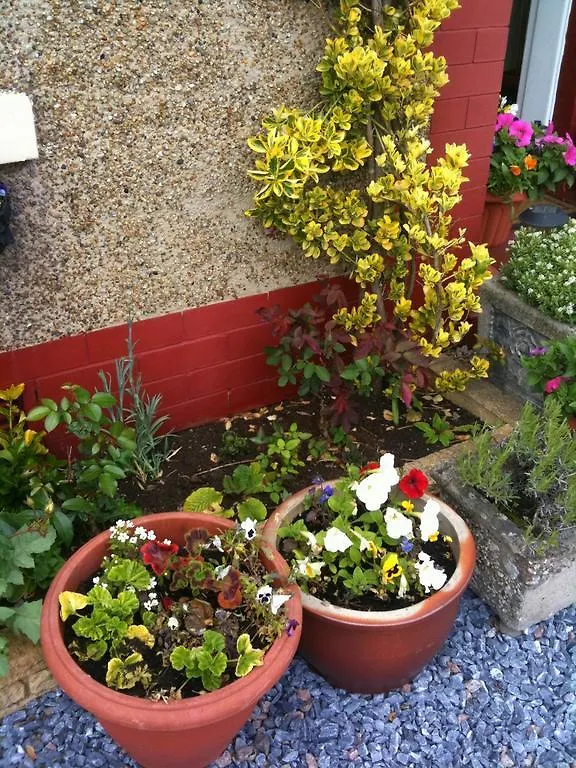 Almond House B&B Edinburgh 0*,  United Kingdom