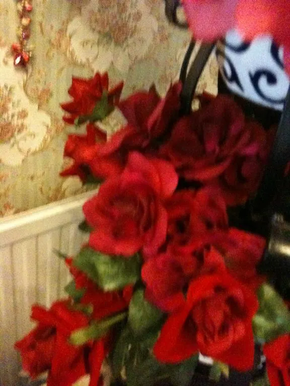 Almond House B&B Edinburgh