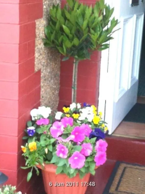 Almond House B&B Edinburgh Bed & Breakfast